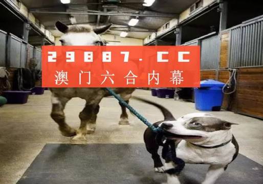 无错杀料澳门跟澳门一肖一码预测：社会的未来在此间角逐。搜索作答落实解释