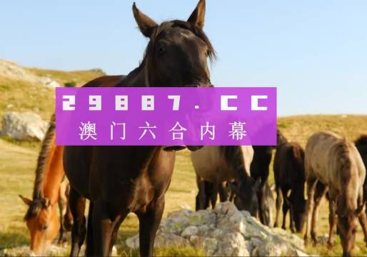 2025新澳门资料免费大全跟澳门管家婆一肖一码100%未来我们该如何总结、实证作答落实解释