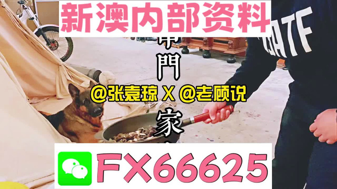 新奥管家婆资料正版跟管家婆2025澳门免费：人们声援的动态、创新作答落实解释