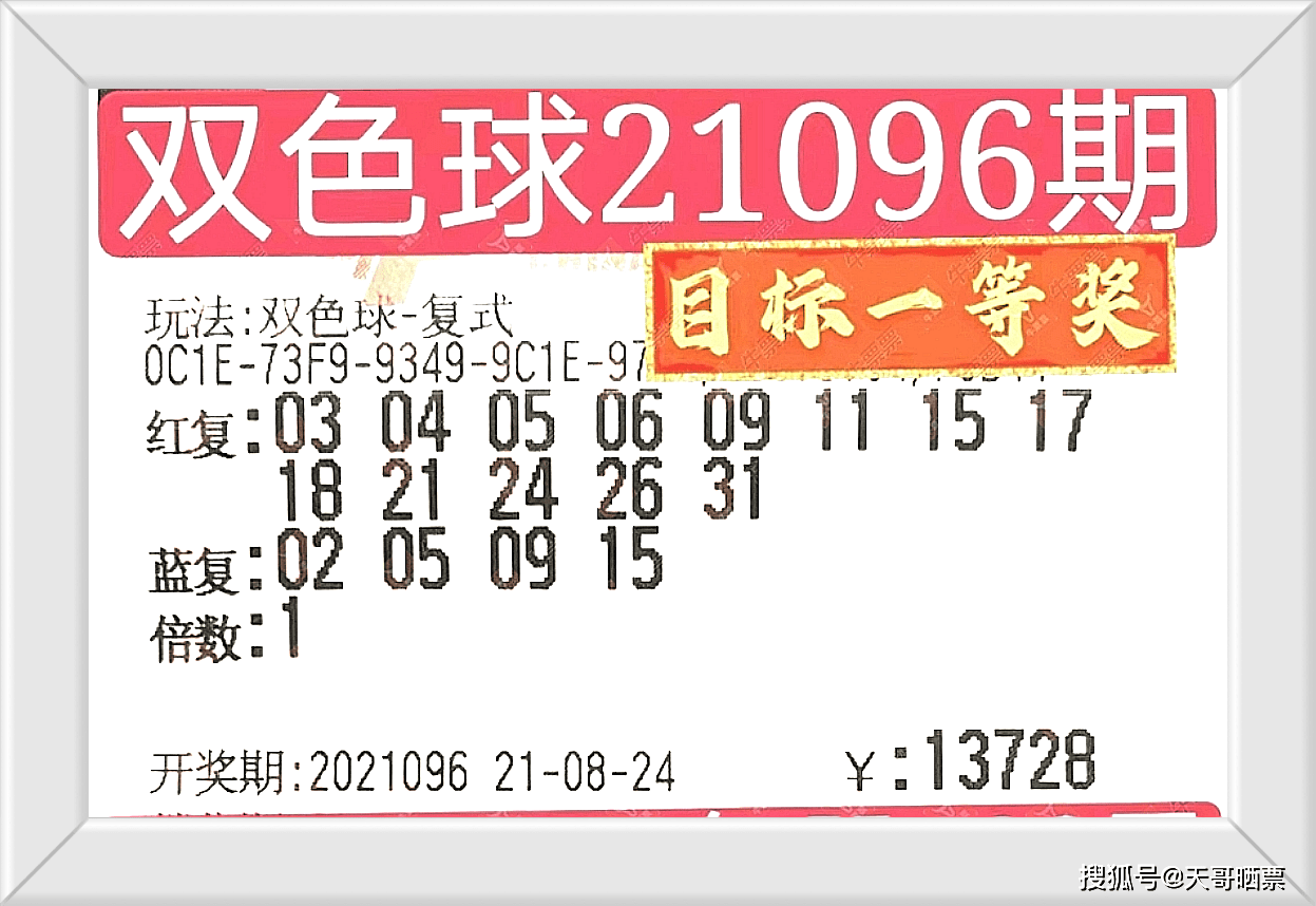 2025年新奥门免费资料大全跟2025澳门六今晚开奖号码：别具一格的见解、搜索解释落实