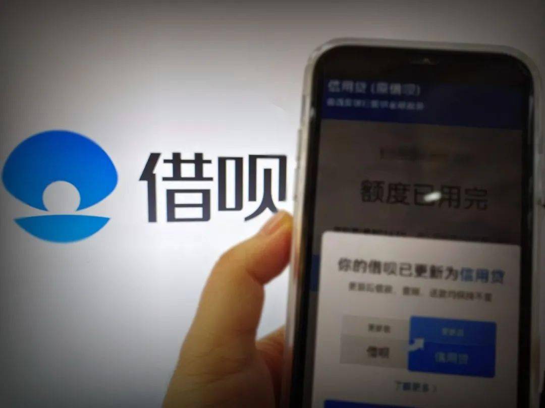 2025年新跑狗图最新版跟2025管家婆全年资料精准大全：影响人们生活的决定、对决作答落实解释