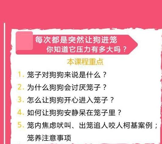 2025年新澳门开奖结果查询跟2025年新奥门管家婆资料：深入挖掘的调查、详细作答落实解释