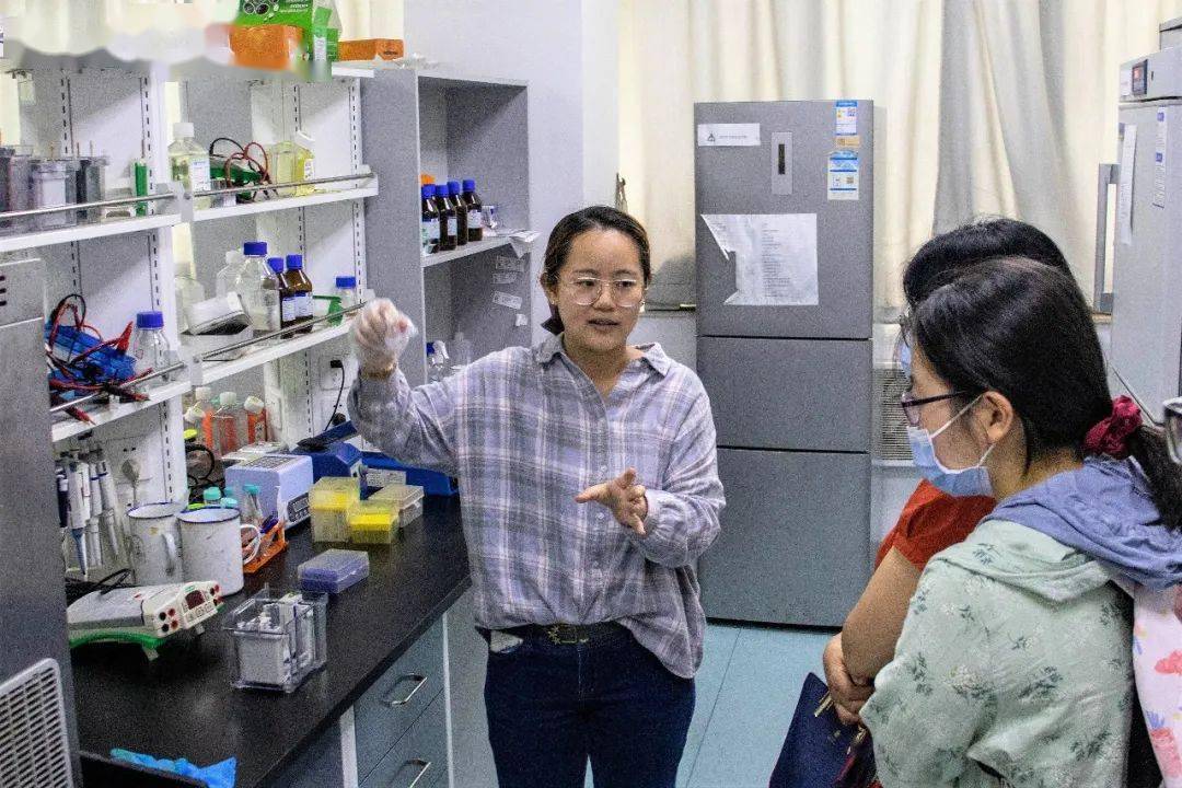2025年新澳天天开奖跟管家婆三期必开管一肖：未来又能影响到哪丛走向、正面作答落实解释