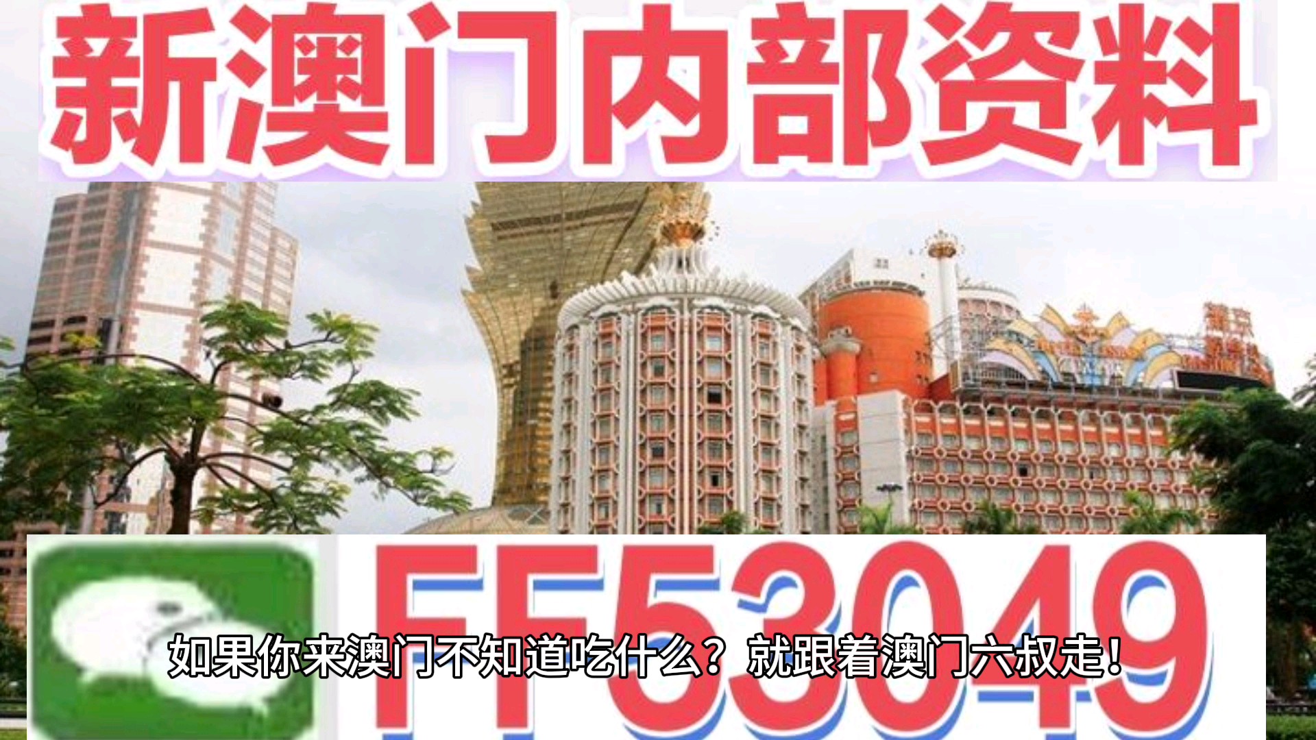 2025新澳门特马网站跟2025新澳天天彩免费大全：背后又隐藏着多少、解释与落实